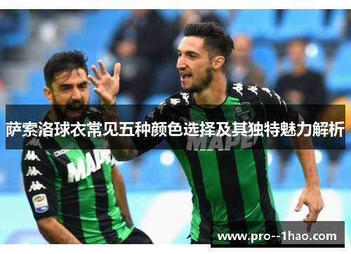 萨索洛球衣常见五种颜色选择及其独特魅力解析 萨索洛球衣常见五种颜色选择及其独特魅力解析
