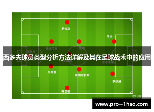 西多夫球员类型分析方法详解及其在足球战术中的应用