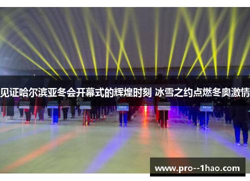 见证哈尔滨亚冬会开幕式的辉煌时刻 冰雪之约点燃冬奥激情 见证哈尔滨亚冬会开幕式的辉煌时刻 冰雪之约点燃冬奥激情