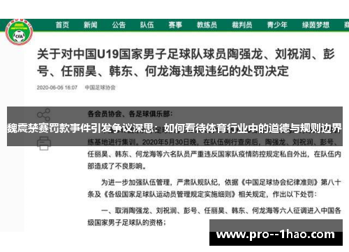 魏震禁赛罚款事件引发争议深思:如何看待体育行业中的道德与规则边界 魏震禁赛罚款事件引发争议深思:如何看待体育行业中的道德与规则边界
