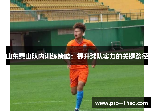 山东泰山队内训练策略：提升球队实力的关键路径