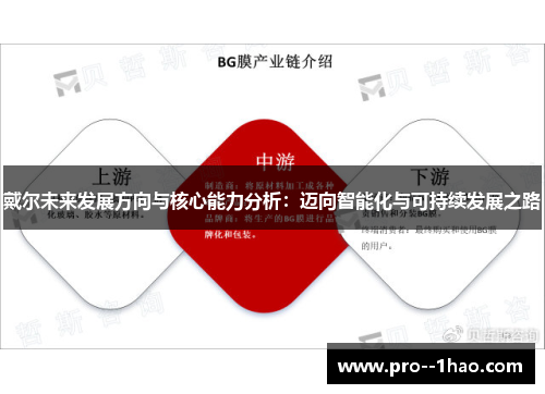 戴尔未来发展方向与核心能力分析：迈向智能化与可持续发展之路