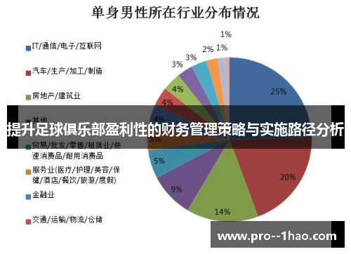 提升足球俱乐部盈利性的财务管理策略与实施路径分析 提升足球俱乐部盈利性的财务管理策略与实施路径分析