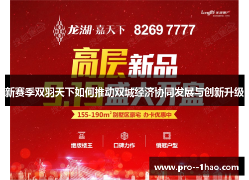 新赛季双羽天下如何推动双城经济协同发展与创新升级 新赛季双羽天下如何推动双城经济协同发展与创新升级