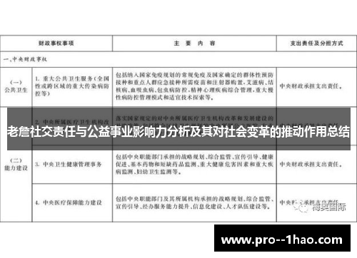 老詹社交责任与公益事业影响力分析及其对社会变革的推动作用总结 老詹社交责任与公益事业影响力分析及其对社会变革的推动作用总结