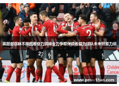 英超谢菲联不畏困难奋力拼搏全力争取保级希望为球队未来积蓄力量